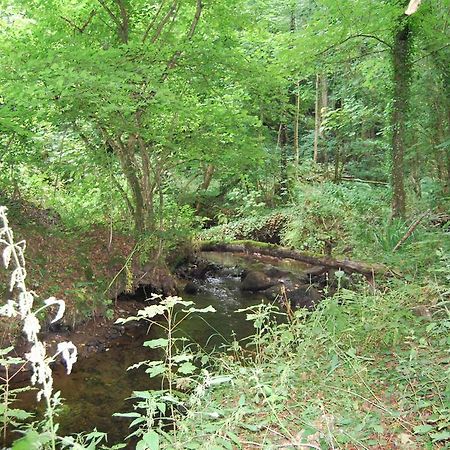 Gite La Chouette Bégard Kültér fotó